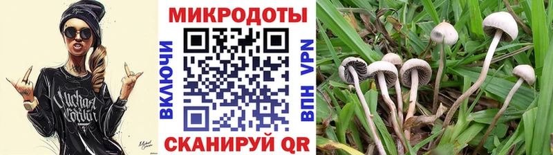 Галлюциногенные грибы мухоморы  Зея 